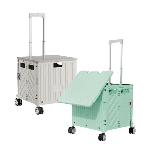 # Zafiro Skate Trolley Case